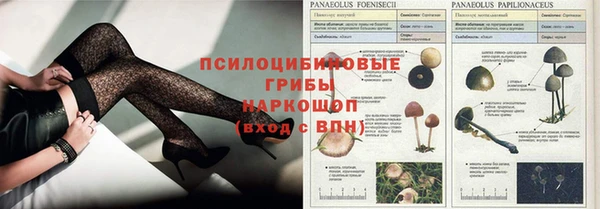 метамфетамин Елабуга
