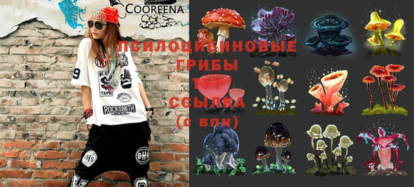 дурь Елизово