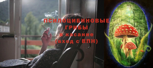 мескалин Ельня