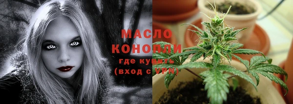 мескалин Ельня
