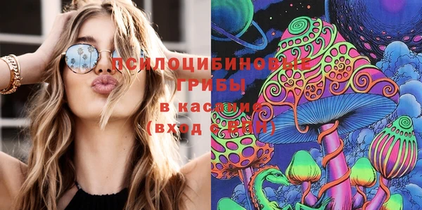 мескалин Ельня