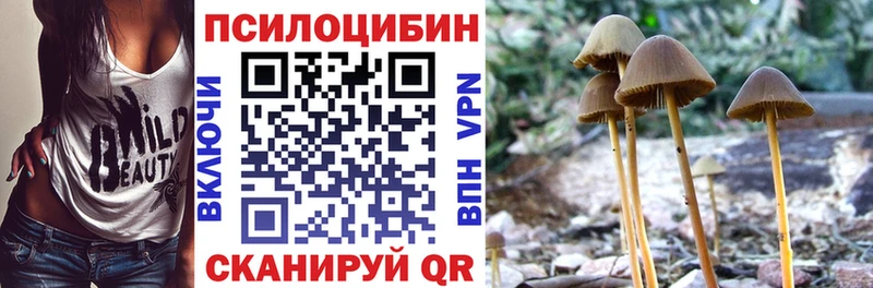 магазин продажи наркотиков Северо-Курильск Псилоцибиновые грибы Cubensis